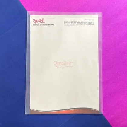 Sahyogi-Enterprise-Medicine-Keeper-Large-envelope size 9x12)img